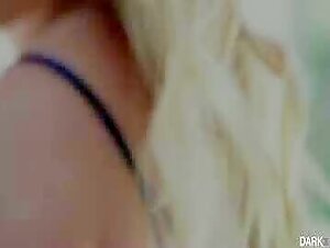 AJ AppleGate DP